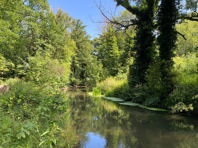 Serene Day at Lullingstone Country Park 🌳🌼