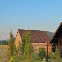 Pine Village CNX