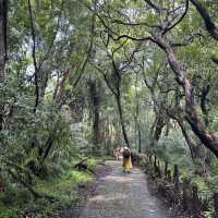 A journey through nature's grandeur: Victoria Falls