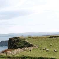 Giant's Causeway
