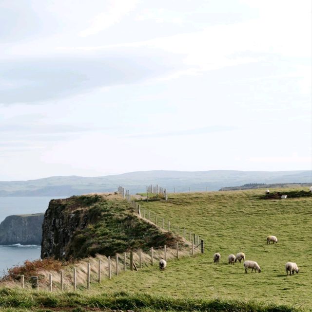 Giant's Causeway