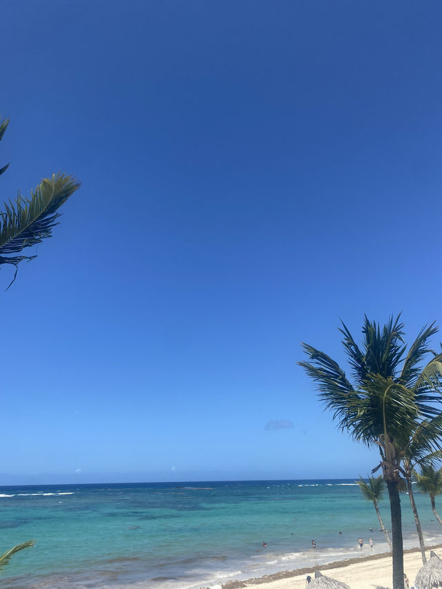 Punta Cana scenes