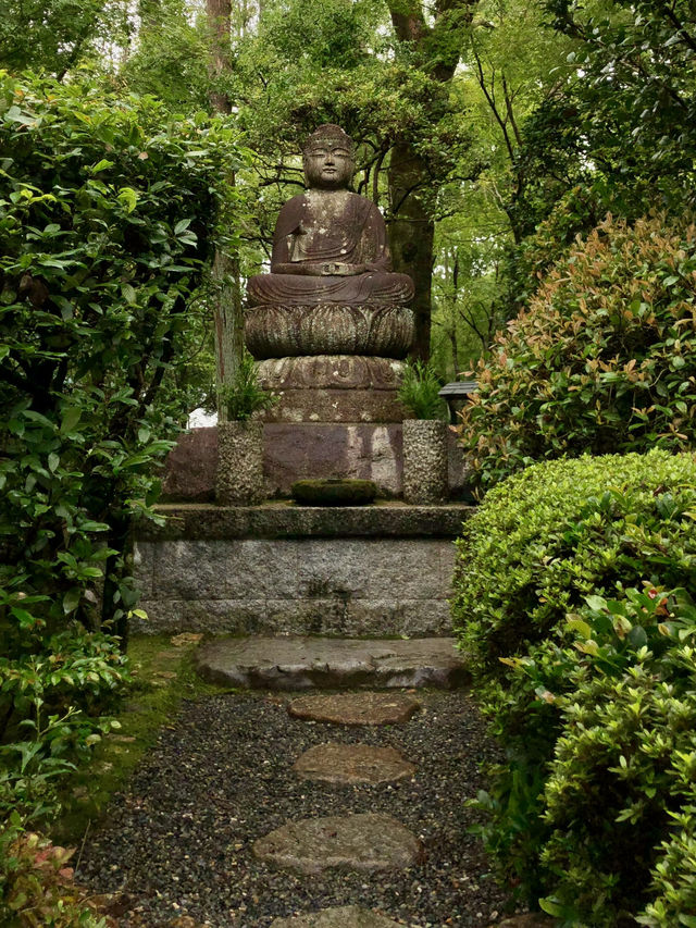 KYOTO: 5 ICONIC HIGHLIGHTS THAT DEFINE JAPAN