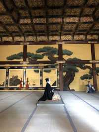 KYOTO: 5 ICONIC HIGHLIGHTS THAT DEFINE JAPAN