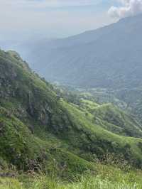 Nature lovers will love this!