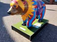 Bear Hunting in Southport UK 
