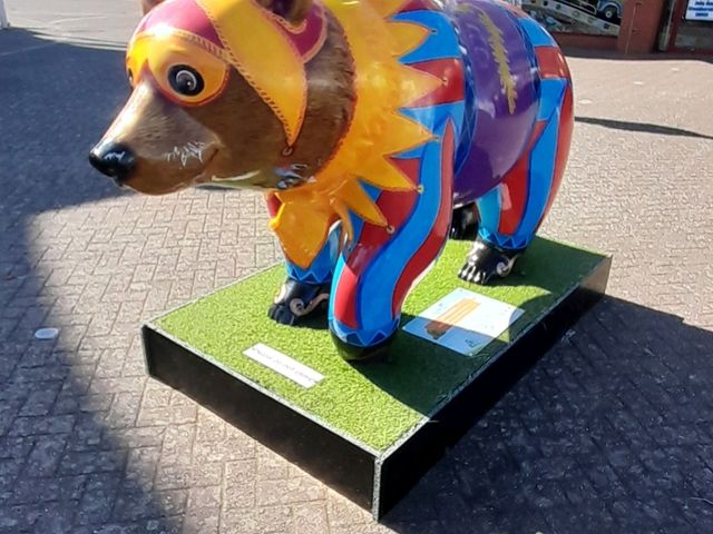 Bear Hunting in Southport UK 