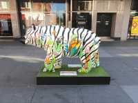Bear Hunting in Southport UK 