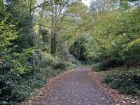 Hampstead Heath: London’s Wild and Wonderful Escape