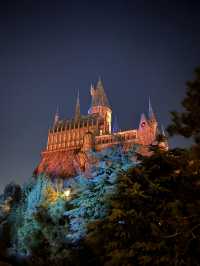 One day at Universal Park Beijing 😍
