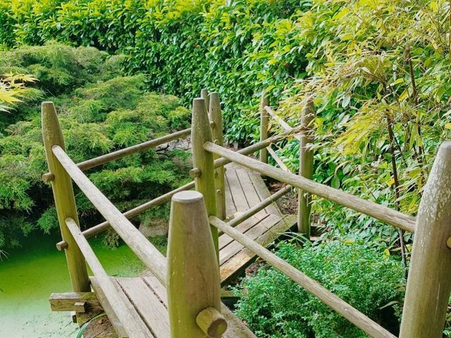 Garden Dreams & Gourmet Scenes at Le Manoir