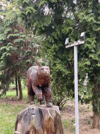 🇷🇴 羅馬尼亞布拉索夫（Brașov） 🐇