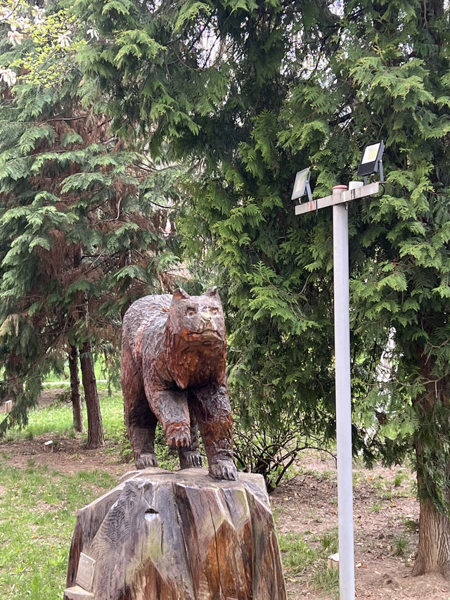 🇷🇴 羅馬尼亞布拉索夫（Brașov） 🐇