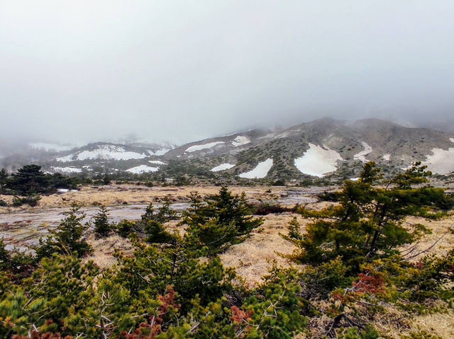 Hiking day of the spring 