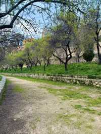 Stone Giants and City Secrets