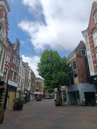 Haarlem | The Charming Dutch Escape Near Amsterdam!