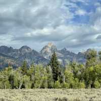 🚗 Grand Teton National Park Transportation Tips: Cruise Through the Mountains in Style ⛰️🛣️
