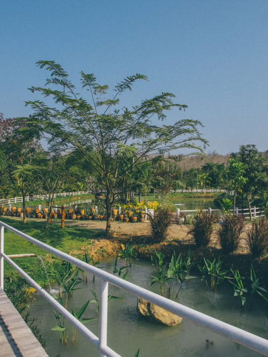 🌿🚂 Phounsouk Garden - สวรรค์ธรรมชาติ 🌿🚂