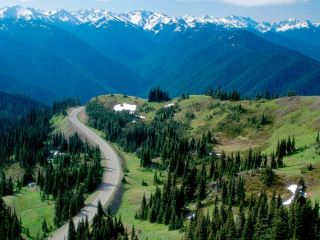 Hurricane Ridge: A hiking trail paradise in Washington!