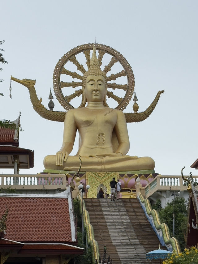 รีวิว วัดพระใหญ่ (Wat Phra Yai) 