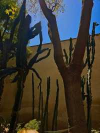 🌿 Jnan Sbil Gardens – A Peaceful Escape in the Heart of Fez