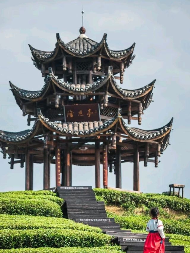 ⛰️ Mengding Mountain – The Ancient Cradle of Chinese Tea