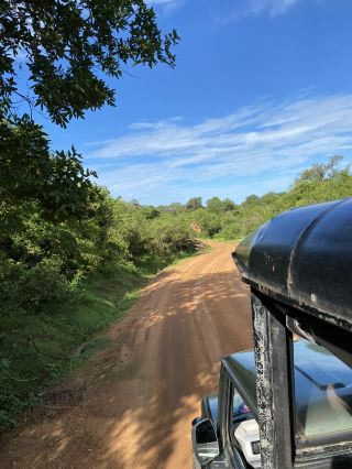 🐘 Yala National Park – A Wildlife Wonderland in Southern Sri Lanka 🌿