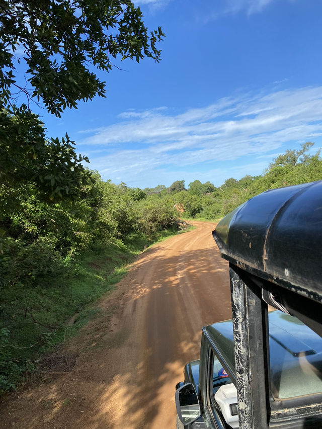 🐘 Yala National Park – A Wildlife Wonderland in Southern Sri Lanka 🌿