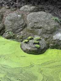 Bird World Review: A Wild Day Out in Taipei’s Animal Kingdom