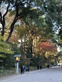 This Japan itinerary hits Tokyo’s coolest neighborhoods
