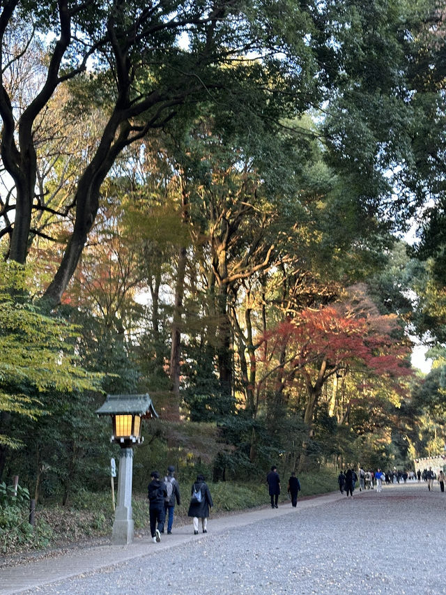 This Japan itinerary hits Tokyo’s coolest neighborhoods