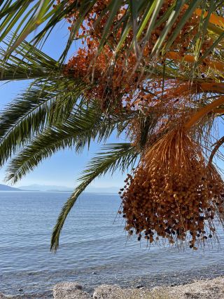 🏝️ เอจิน่า – เกาะอันเงียบสงบและเสน่ห์ริมทะเล 🌊☀️