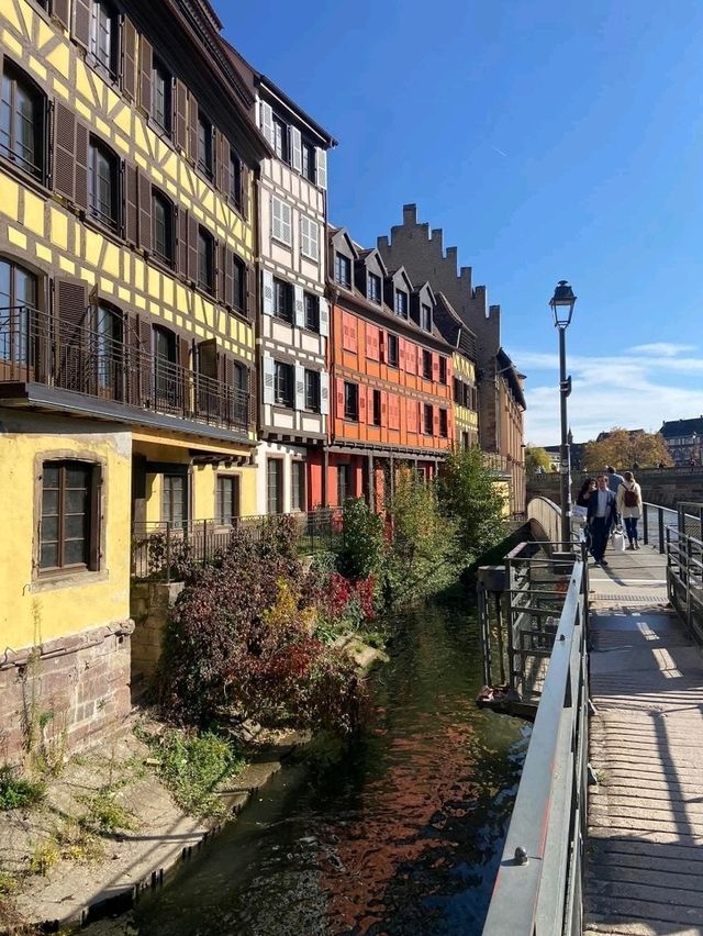Enchanted Halloween Magic in Strasbourg! 🧙‍♀️✨