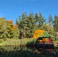 The Himalayan Garden & Sculpture Park