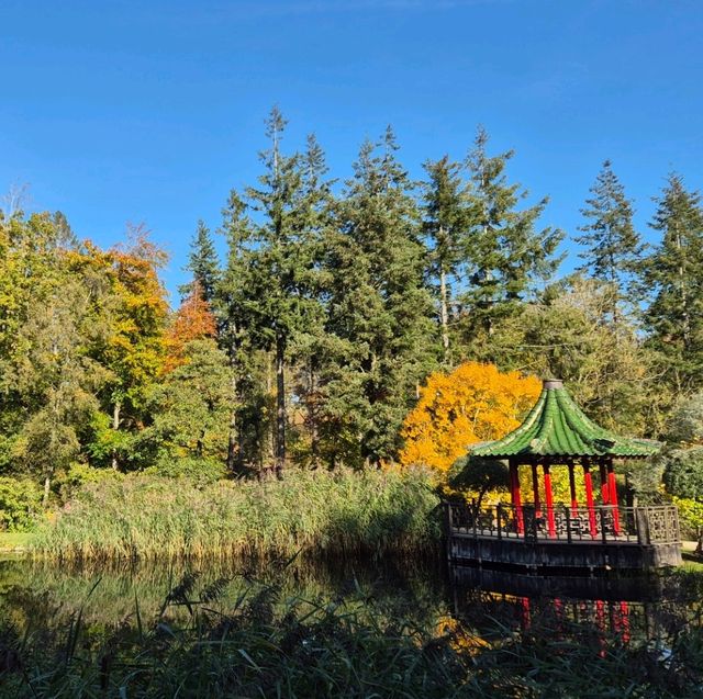 The Himalayan Garden & Sculpture Park