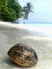 Vilamendhoo Island Resort — Where the Reef Speaks Louder Than Words