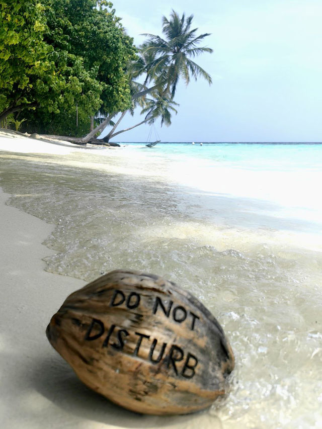 Vilamendhoo Island Resort — Where the Reef Speaks Louder Than Words