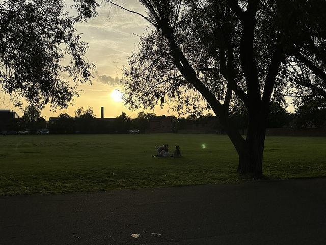 🌳 Discover Roundwood Park, Brent – A Hidden Green Gem in London! 🌳