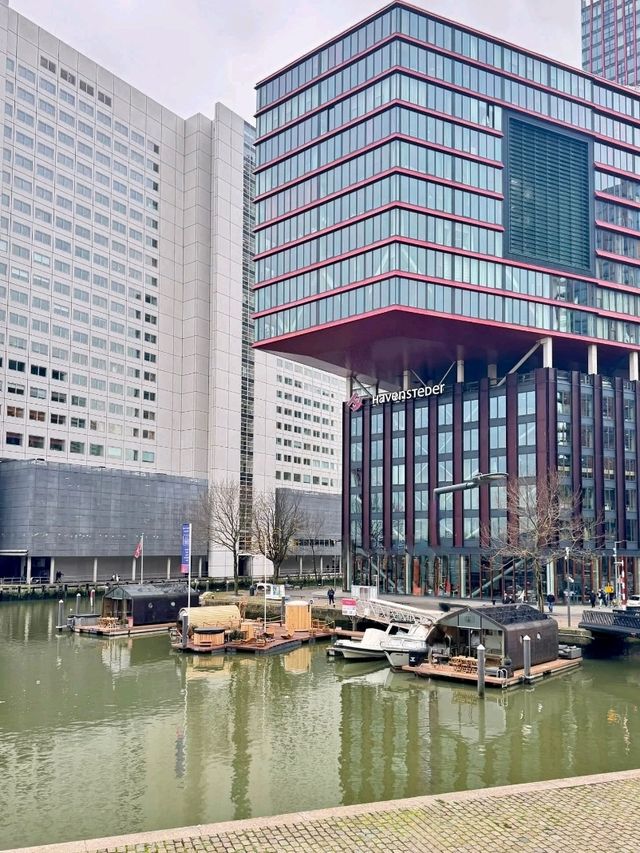 Rotterdam at Christmas – Recommendations for What to Visit (with a festive touch)