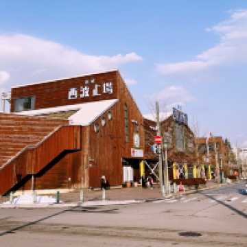 Winter in Hokkaido: Snow, Nature & Cozy Adventures