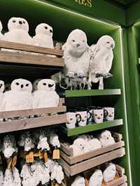 Welcome to the magical world of Harry Potter in central Tokyo! ✨⚡