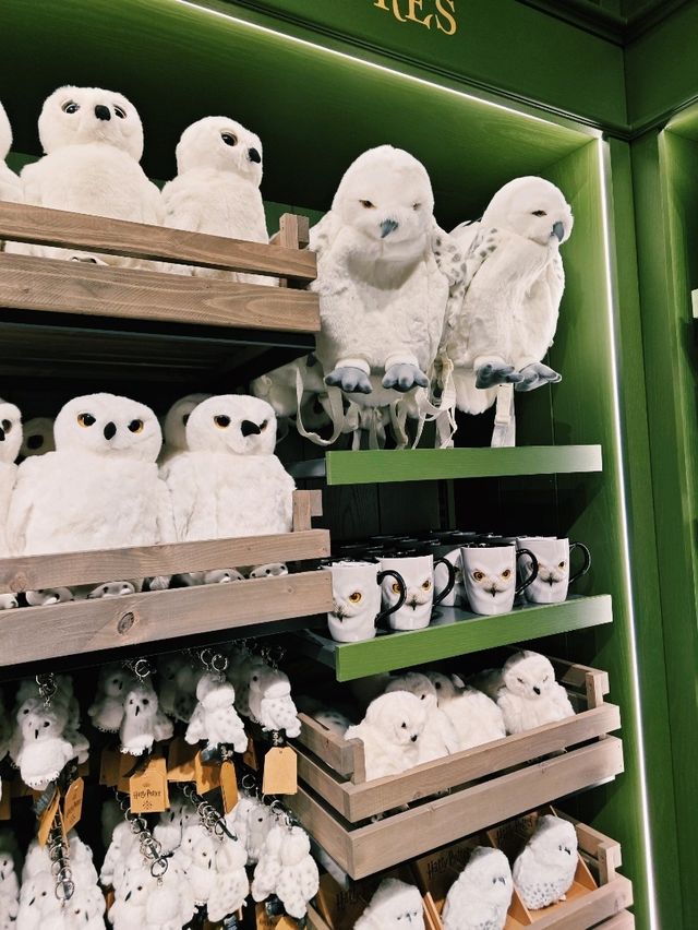 Welcome to the magical world of Harry Potter in central Tokyo! ✨⚡