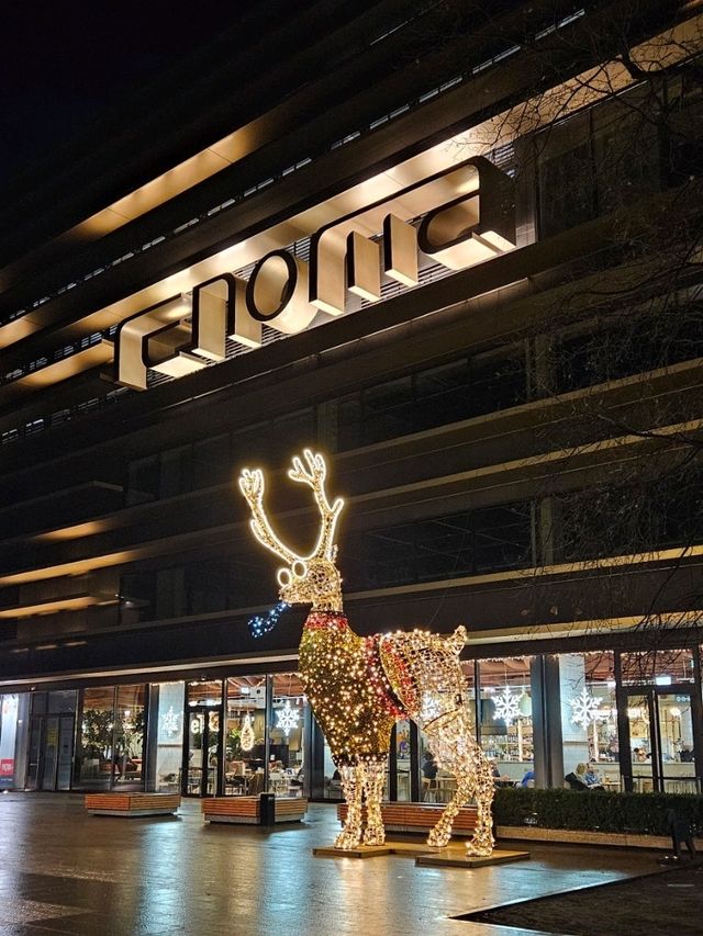 Renoma: A Modernist Masterpiece in Wrocław 🏛️🎄