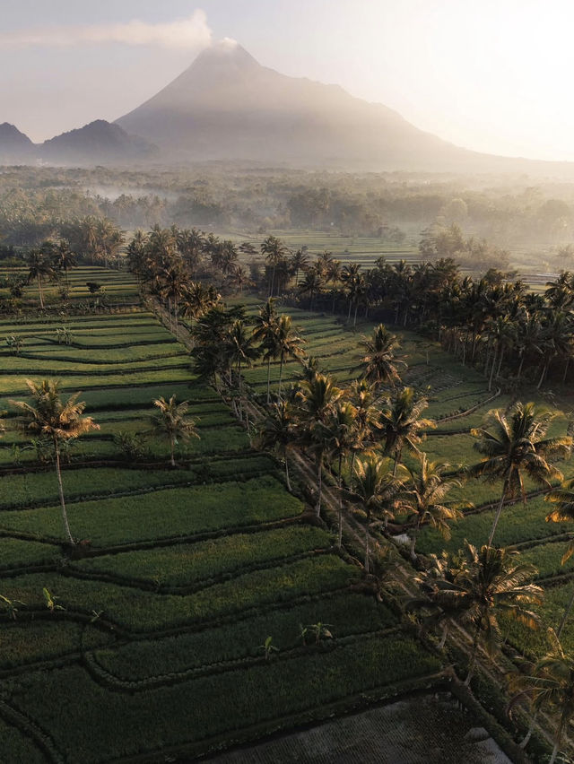 🏯 Java's Cultural Heart: A Yogyakarta Pilgrimage 🏯 Java's Cultural Heart: A Yogyakarta Pilgrimage