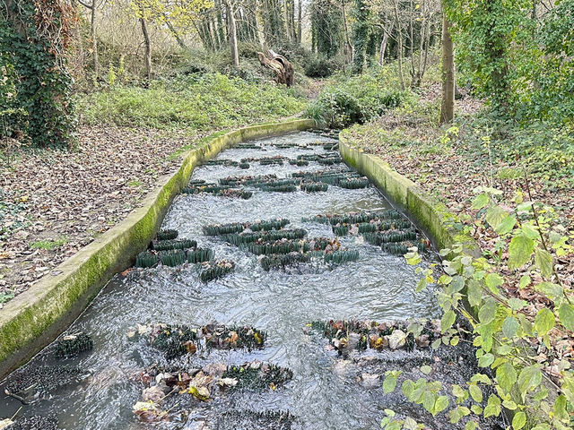 華麗轉身:荒廢船塢變身現代綠洲豪宅