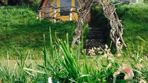 Discovering Secret Garden Cotopaxi: Ecuador’s Hidden Gem ✨🌋 — traveler post in Cotopaxi