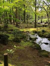 Japan Trip | Travel Guide to Narita Temple