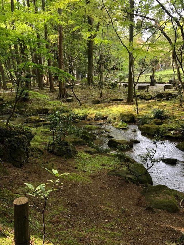 Japan Trip | Travel Guide to Narita Temple