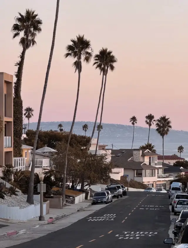 The end of California is the sea, the love palm tree successfully checked in