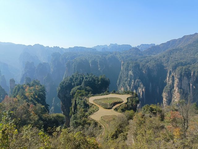 張家界之森林公園（袁家界楊家界天子山十里畫廊金鞭溪）